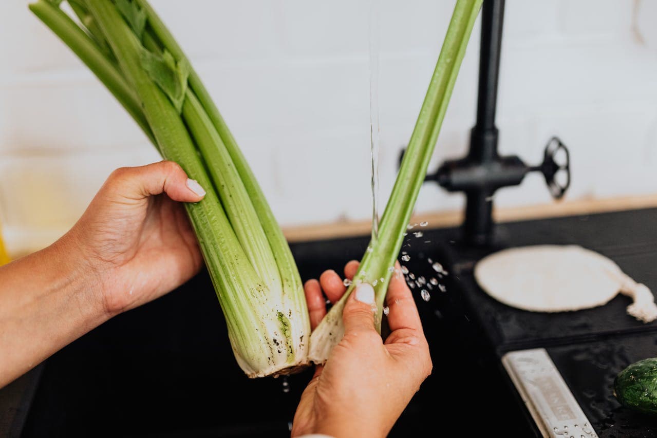 Does Celery Break a Fast? Can You Have Celery While Fasting?